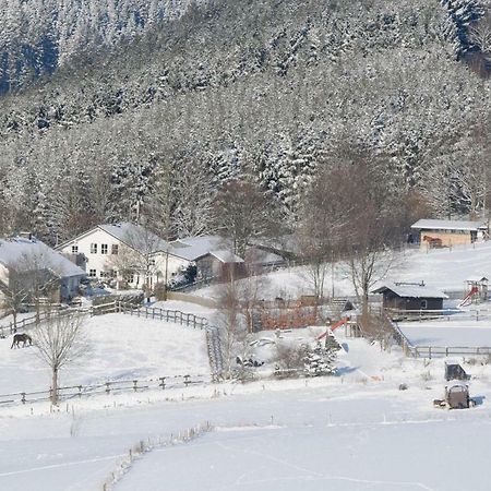 Duempelhof Ferienwohnungen Olsberg Luaran gambar